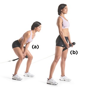 cable pull through workout