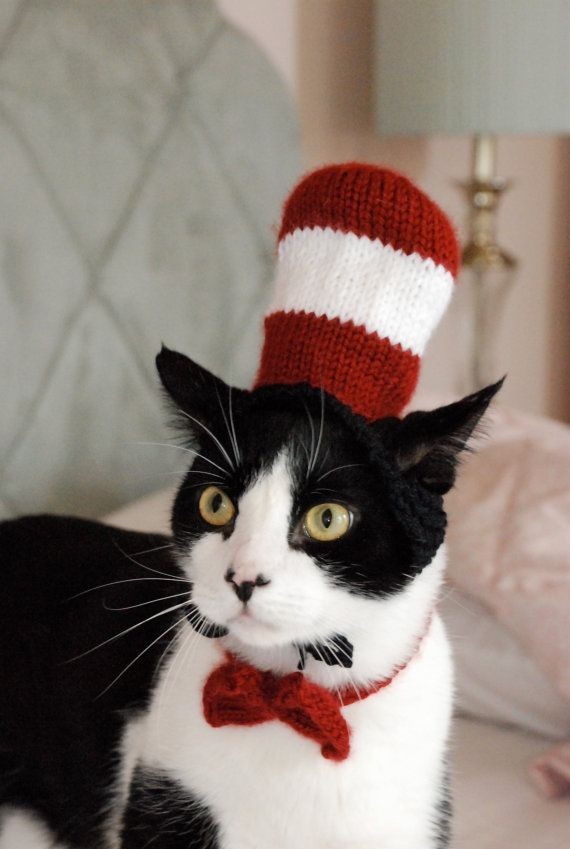 cat in the hat costume kitty 