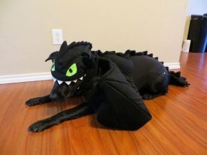 toothless dog costume