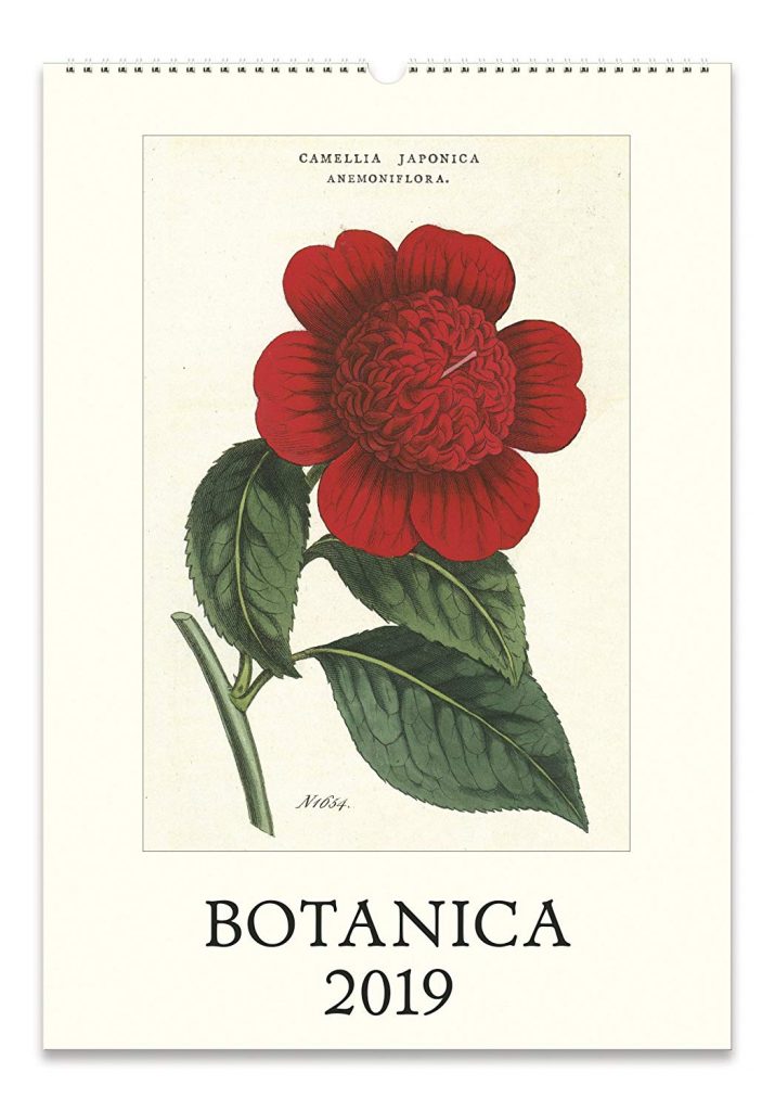 cavallini papers & co botanica 2019 calendar