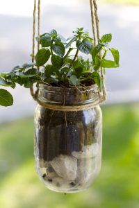 diy holiday gifts: hanging mason jar herb planter