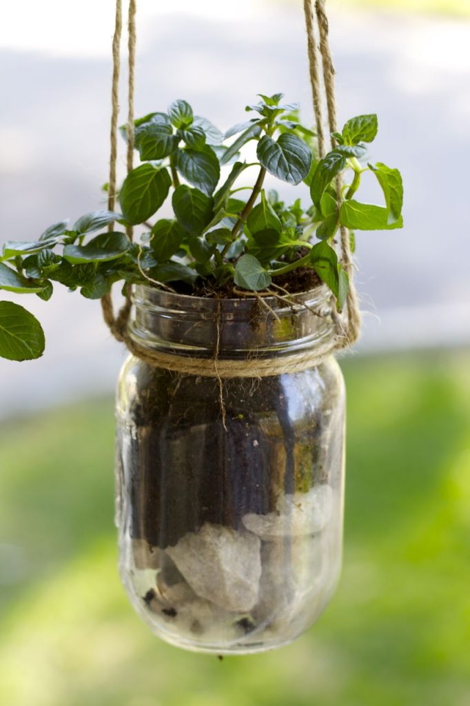 diy holiday gifts: hanging mason jar herb planter