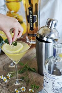 elderflower gin cocktail recipe - spring cocktail recipe
