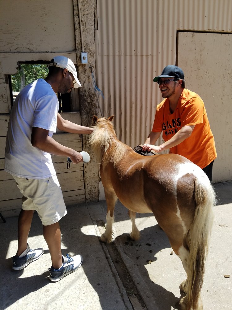 two veterans brush horse on victory ranch